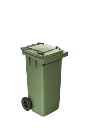 Image de CONTENEUR PLASTIQUE 2 ROUES VERT 120L-192124