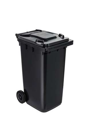 Image de CONTENEUR PLASTIQUE 2 ROUES GRIS 240L-192127-766620