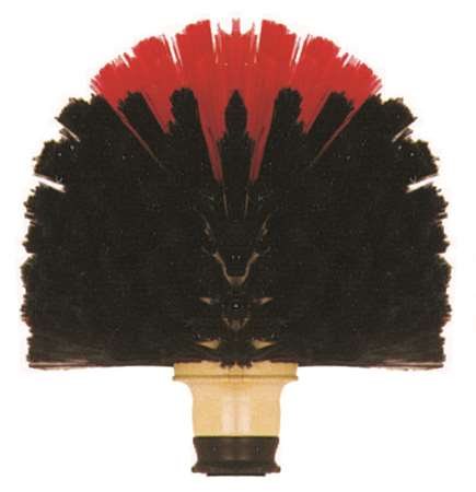 Image de TETE DE LOUP VINYL FLEURE-230453