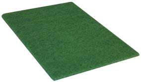 Image de TAMPON ABRASIF VERT 22,5x15cm (x10)-220602