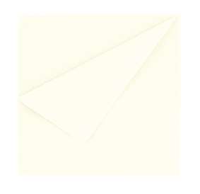 Image de SERVIETTE PRESTIGE VOIE SECHE BLANC 40x40CM (x800)-013310