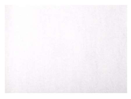 Image de SET DE TABLE 30X40CM BLANC (X1000)-990164