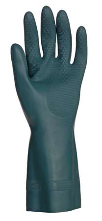 Image de GANT NEOPRENE LATEX T8 L