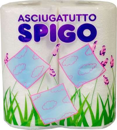 Image de ESSUIE TOUT MENAGER 2P (20x2 RLX)